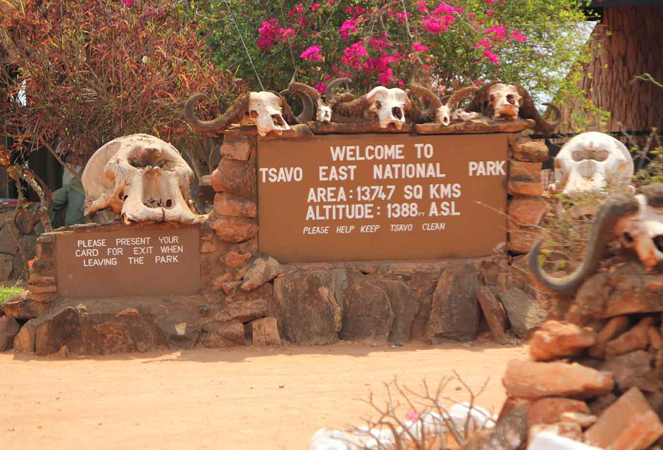 tsavo-east-safari-tour-zimba-safaris
