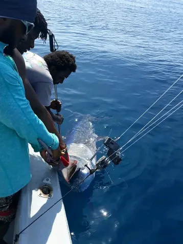 deep-sea-fishing-in-kenya-watamu-sea-fishing-tour